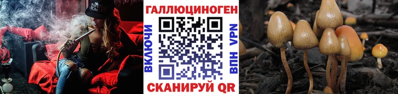 Галлюциногенные грибы Cubensis Усть-Катав